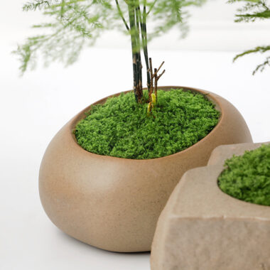 Artificial Moss Turf DIY Decoration for Landscaping and Models