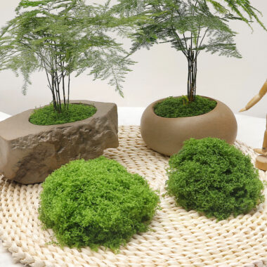 Artificial Moss Turf DIY Decoration for Landscaping and Models