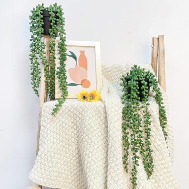 Artificial Tears of Joy Succulent Wall Hanging, Plastic Vines for Home Decor