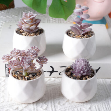  Custom Teddy Bear Plush Toy with Artificial Succulents and Logo